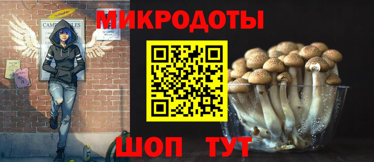Новочеркасск  Галлюциногенные грибы Cubensis  Вход с VPN 